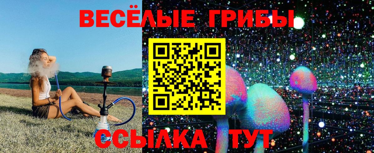 Орехово-Зуево  Псилоцибиновые грибы мицелий  Вход с VPN 